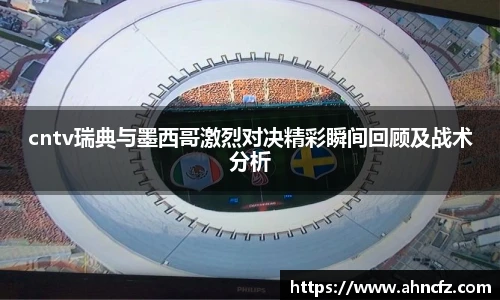 v66体育官网