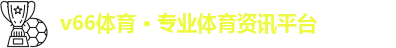 v66体育